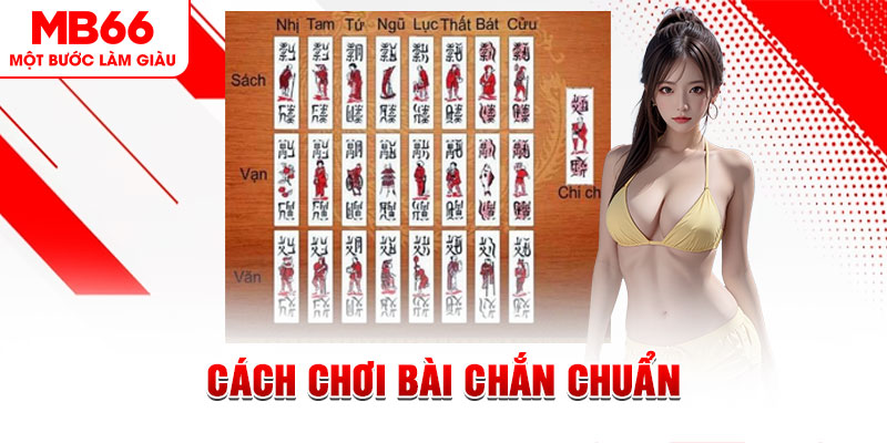 188cm gà chọi cậu thanh