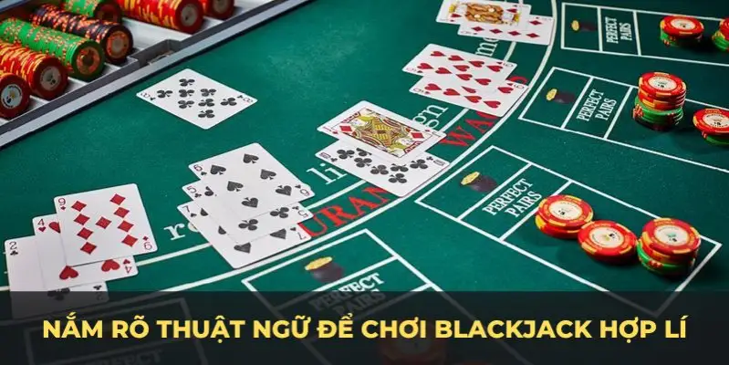 188cm c1 gà chọi