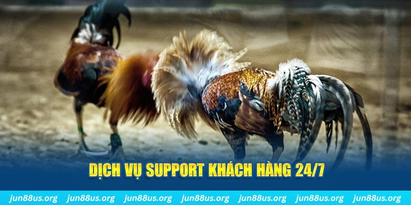 188cm ÁT CHỦ BÀI GIÀNH LẤY ZHUANG NIUNIU ( XEM 4 LÁ )