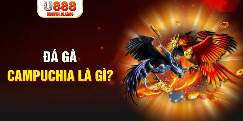 188cm bắn cá vàng h5