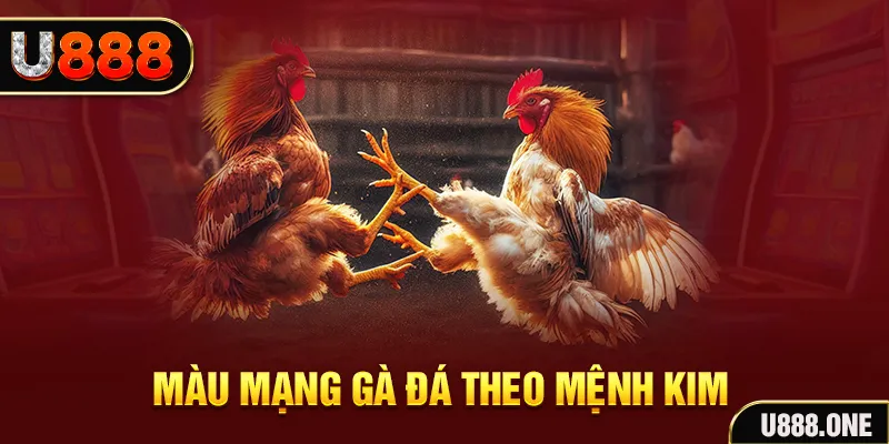 188cm Cỡ bảy