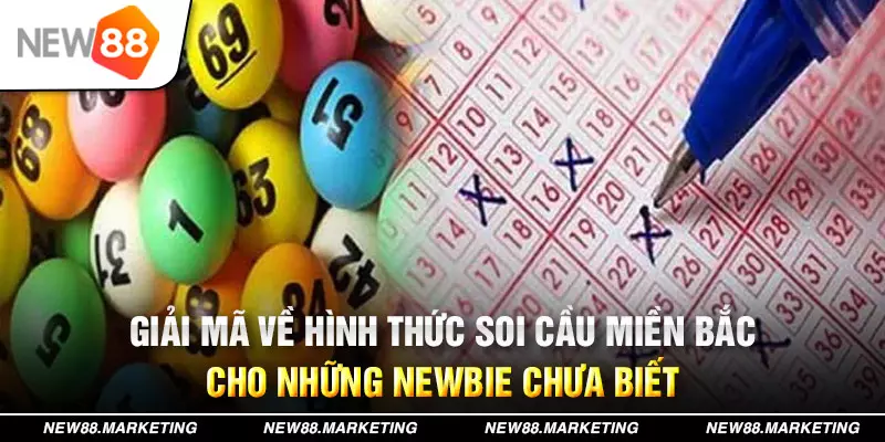 188cm xổ số tây ninh