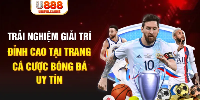 188cm gà chọi hoà phong