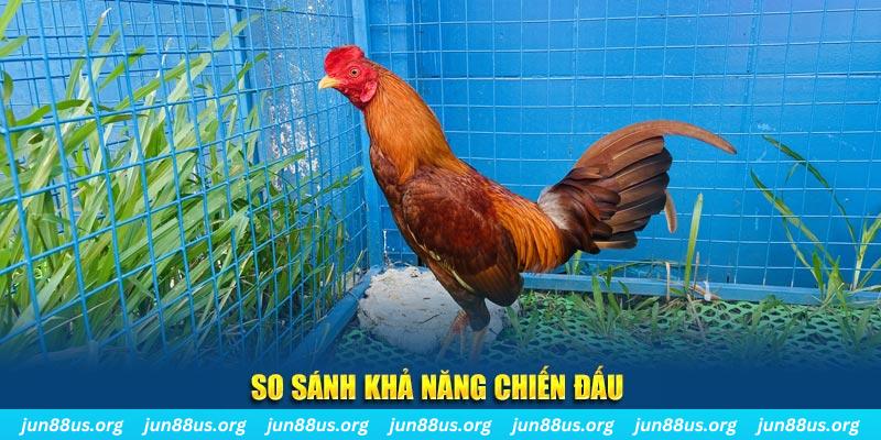 188cm CQ9 Điện Tử