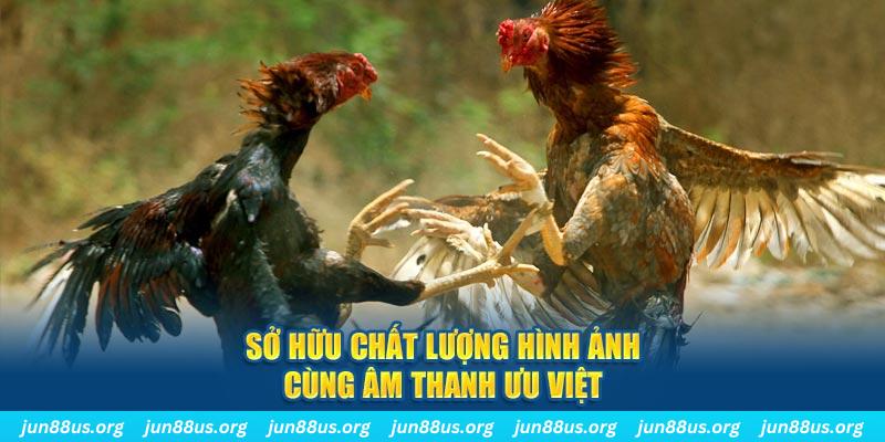 188cm PP Điện Tử