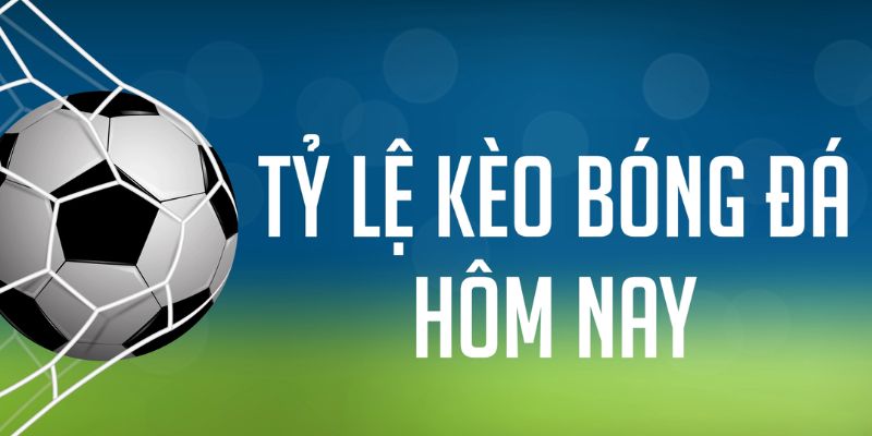 188cm gà chọi c1 mới nhất