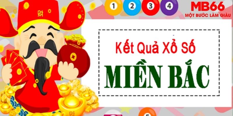 188cm chọi gà