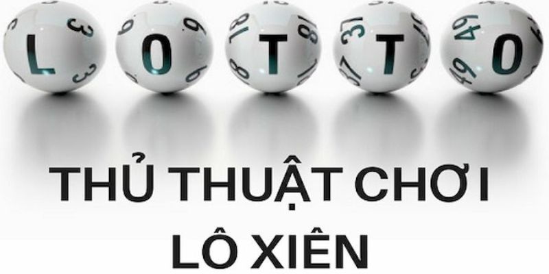 188cm trực tiếp đá gà thomo