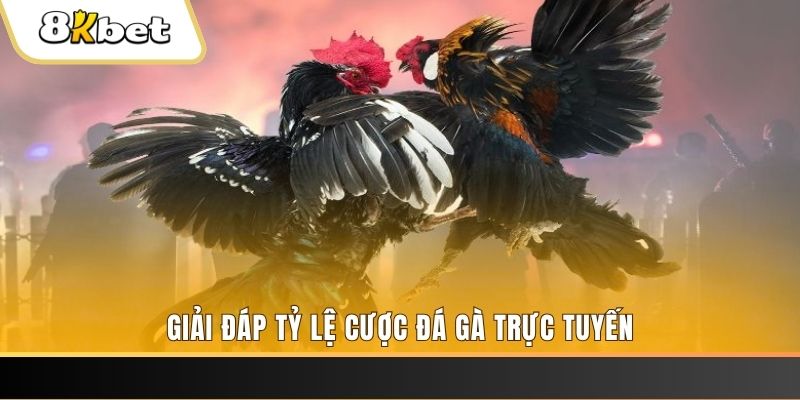188cm xổ số đài miền trung