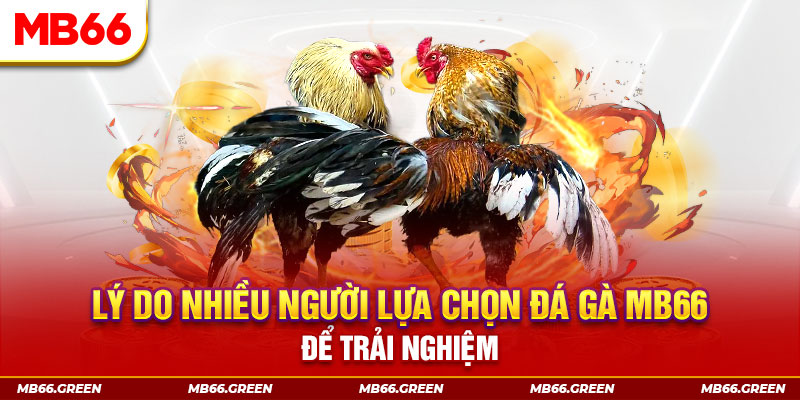 188cm xổ số miền bắc thứ bảy hàng tuần