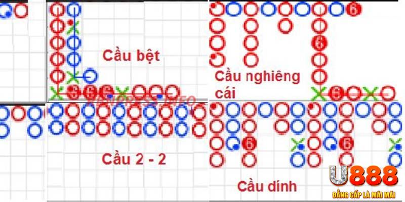 188cm xổ số hà nội hôm nay