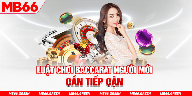 188cm choi ga c1