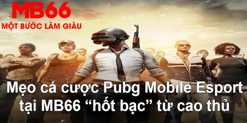 188cm VA Bắn cá