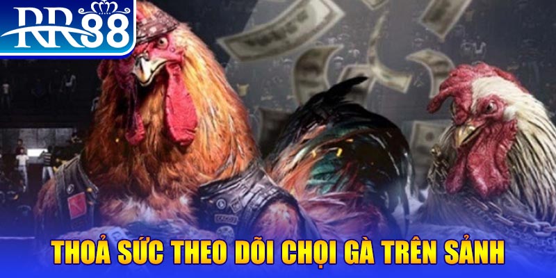 188cm trực tiếp đá gà c1