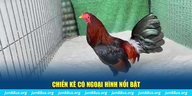 188cm game nổ hũ là gì