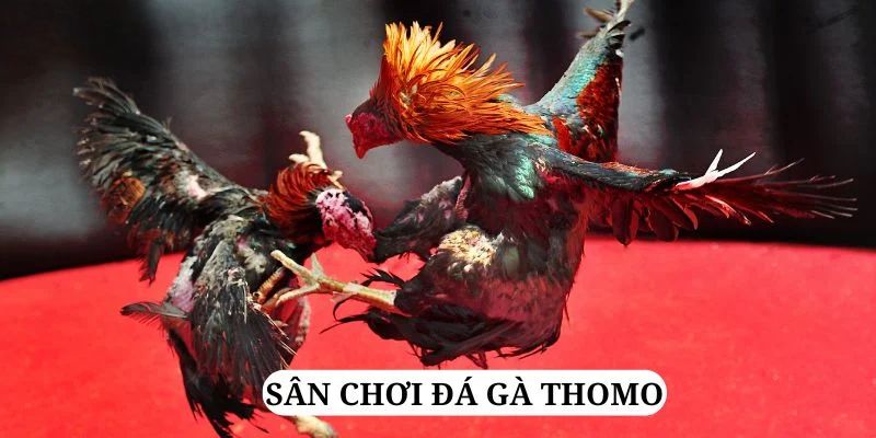 188cm trực tiếp xổ số miền bắc